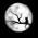Carpe Noctem