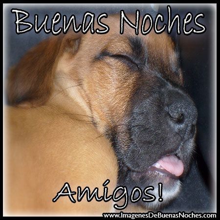 Imagen De Buenas Noches En Frances 0091 Imagen De Buenas Noches En Frances 0091