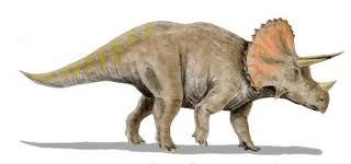 triceratops_zpsdaeb5b39.jpg