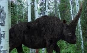 woolyrhinoceros_zps11bad544.jpg