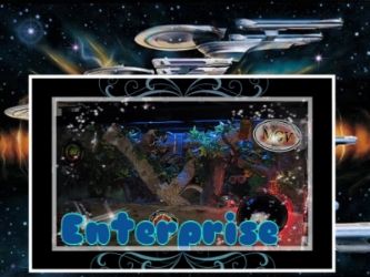 tetraofenterprise Avatar