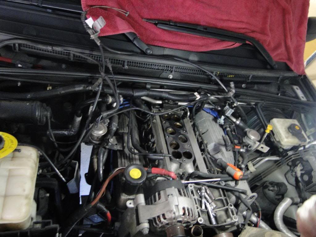 My DIY Complete Engine Rebuild - LOTS OF PICS, some questions - Land