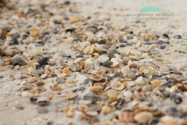 photo 314e3b00-ac72-42a1-b9e9-ee719ab80871_zps3ab8959d.jpg