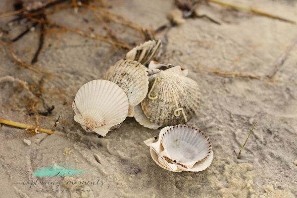 photo 56e57597-3ebb-46e9-910b-2a41ff21dfa5_zpsce2654df.jpg