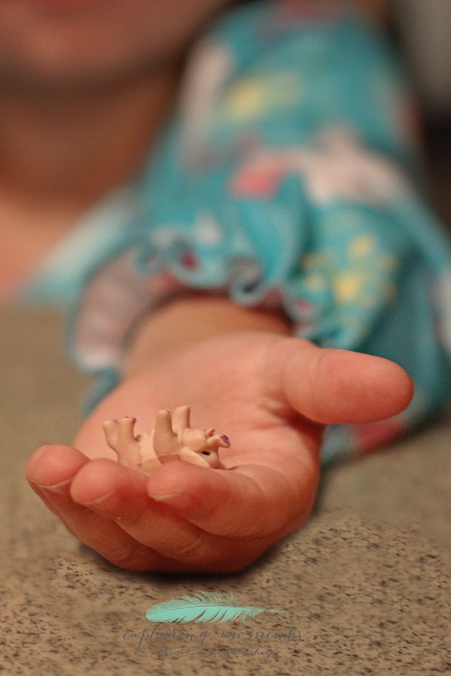 photo IMG_1129_zps14b21003.jpg