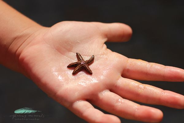 photo new4_zps3f2e43f7.jpg