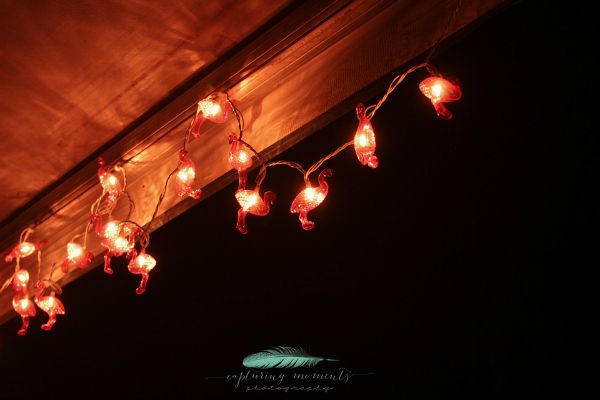 photo new5_zps55b02126.jpg