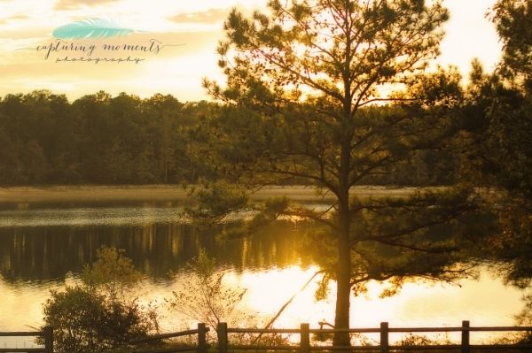 photo c396fd39-d746-47ee-bf5e-1dd098908f84_zps4a3a210b.jpg