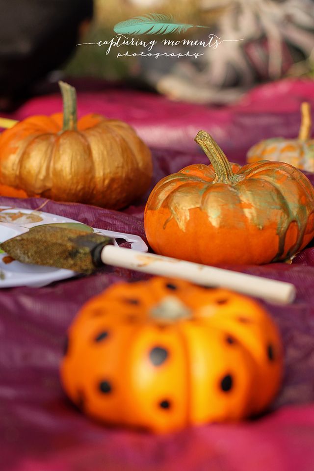 photo camping11_zps15d6363e.jpg