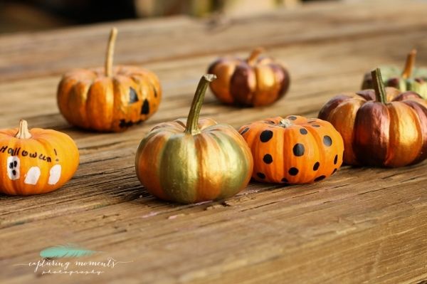 photo f420feee-ce77-452b-aee6-da4098e577ee_zps122cc824.jpg