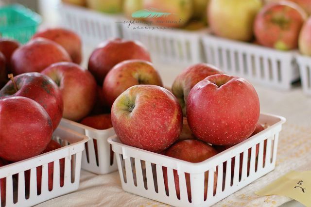  photo farmersmarket1_zpsfc7fc9ae.jpg
