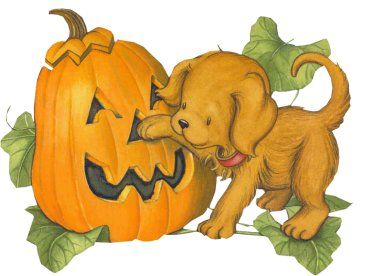  photo pumpkin_and_puppy-11386_zps3d3e2ae7.jpg