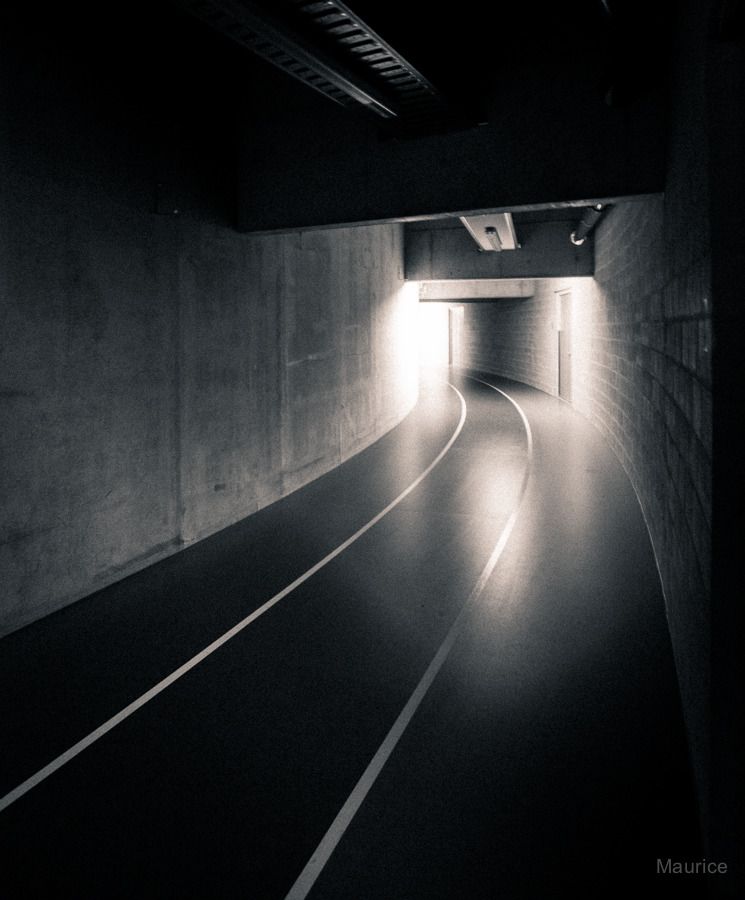Fotografie