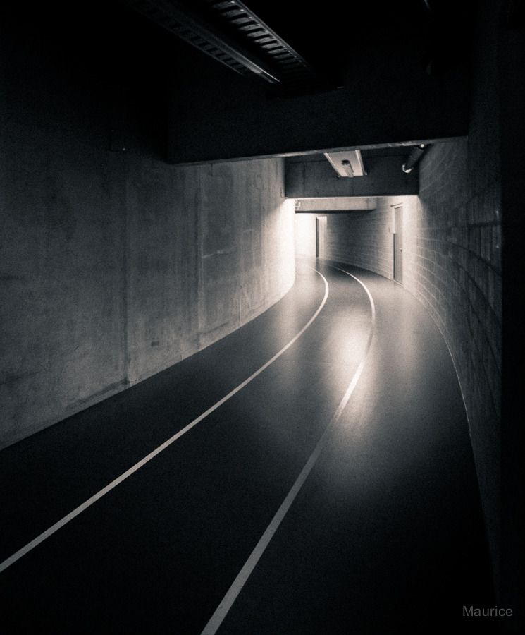 Fotografie