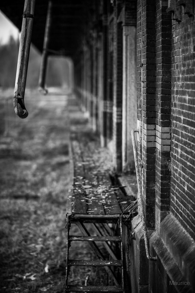 Fotografie