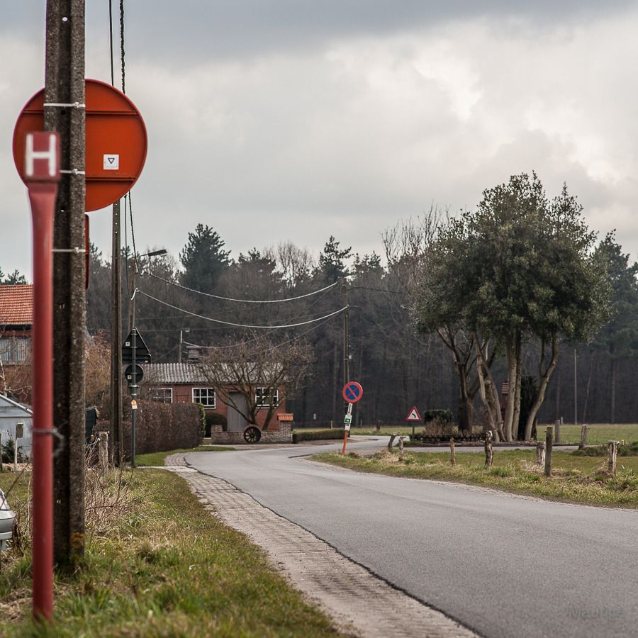 Fotografie