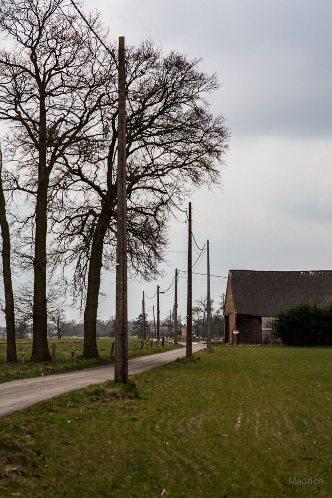 Fotografie