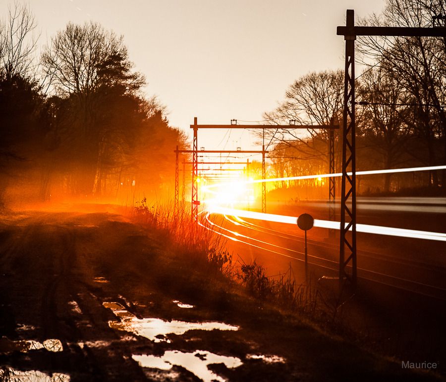 Fotografie