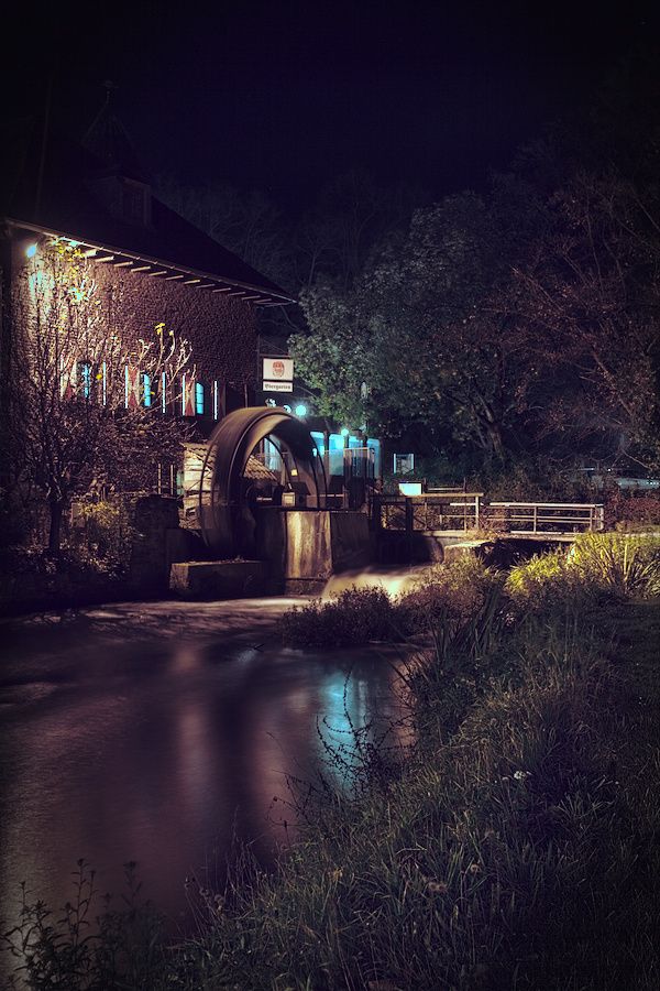 Fotografie
