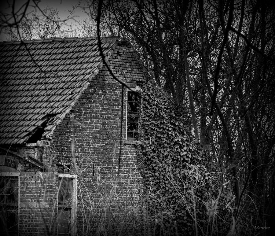 Fotografie