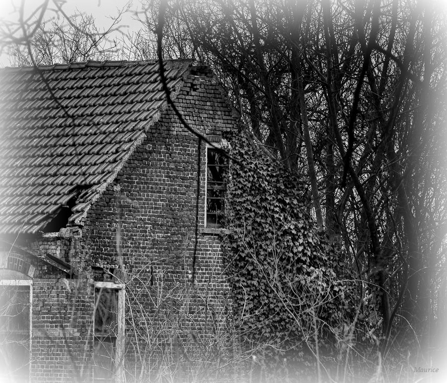 Fotografie