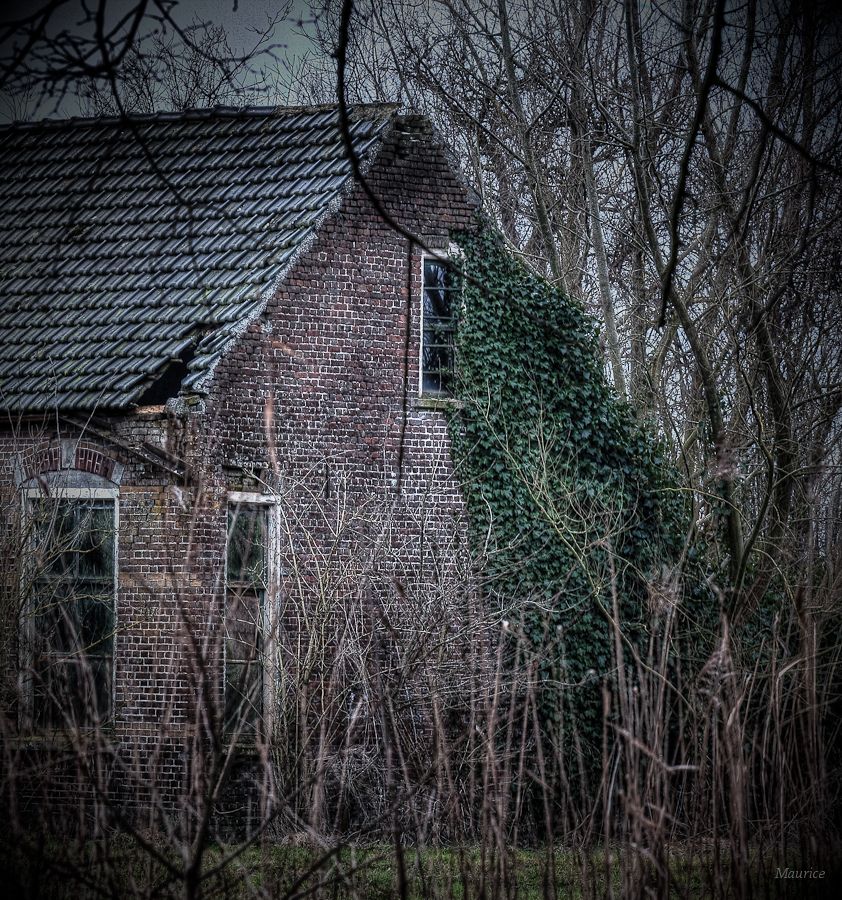 Fotografie