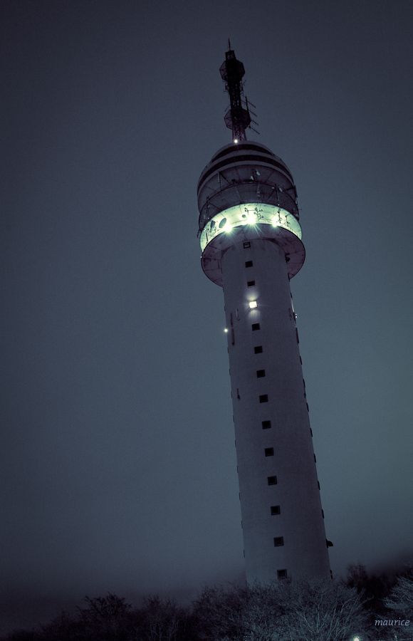 Fotografie