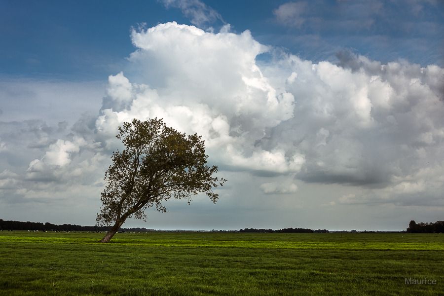Fotografie