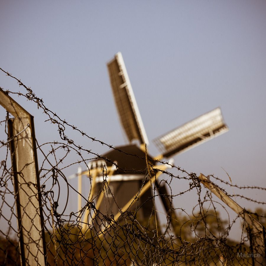 Fotografie