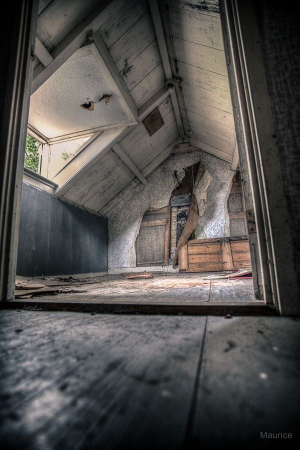 Fotografie