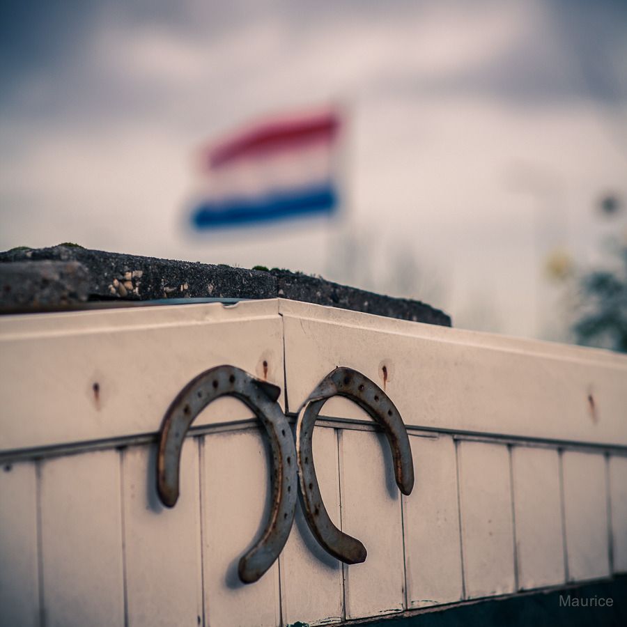 Fotografie