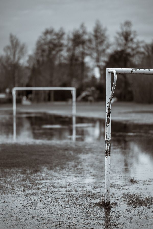 Fotografie