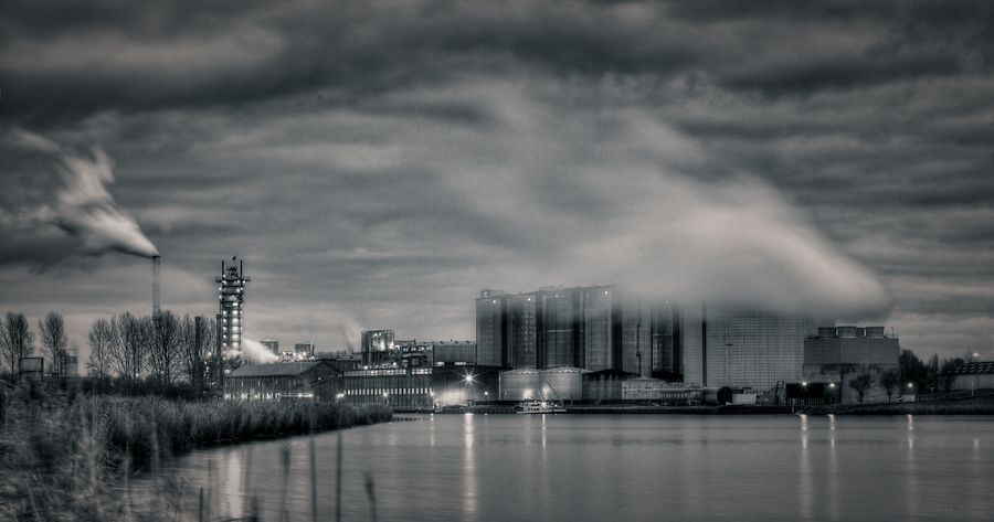 Fotografie