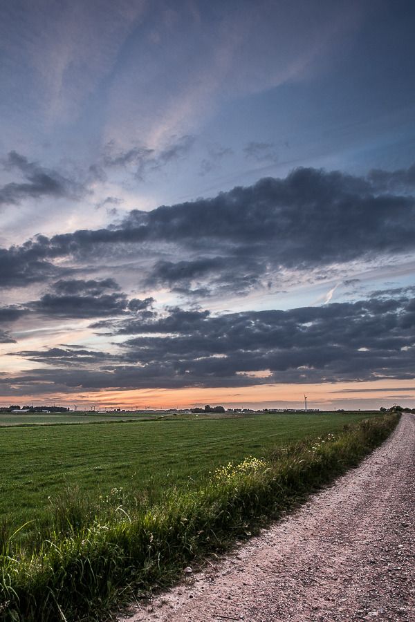 Fotografie