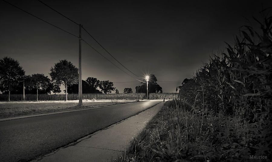 Fotografie