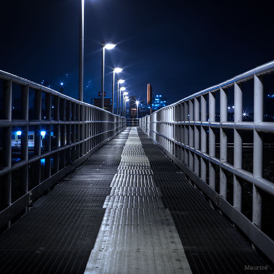 Fotografie