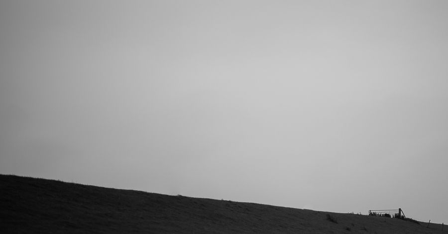 Fotografie