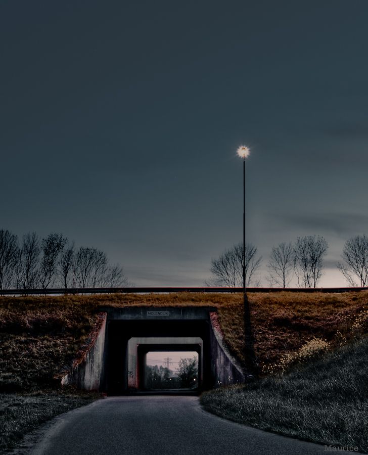 Fotografie