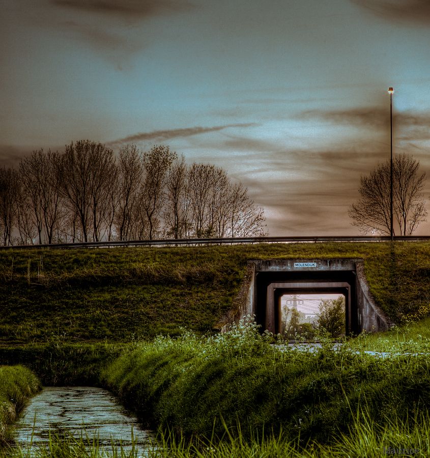 Fotografie