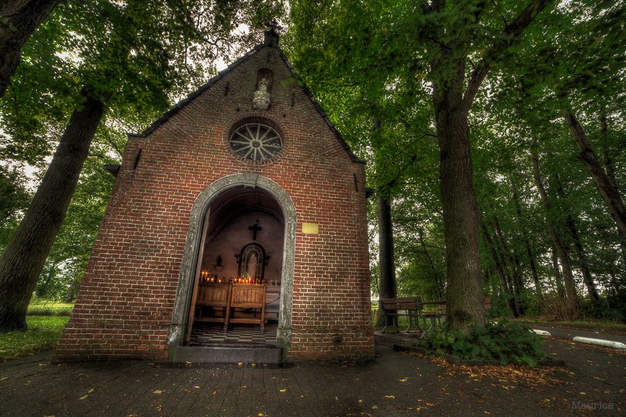 Fotografie