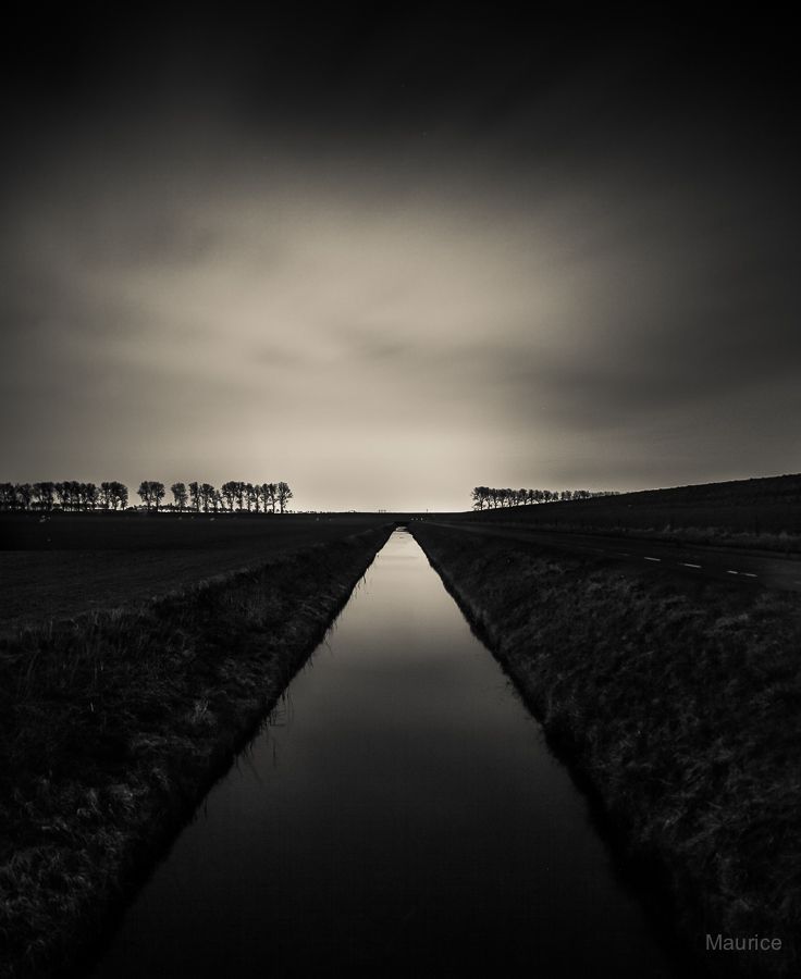 Fotografie