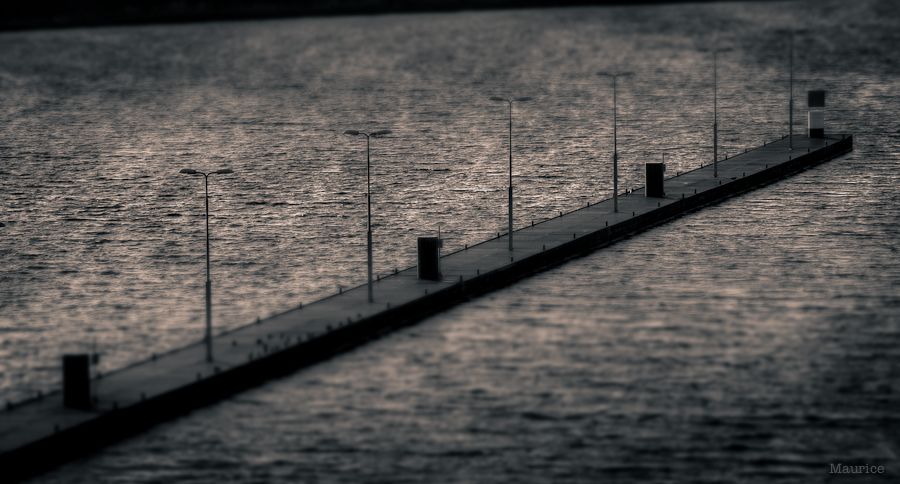 Fotografie