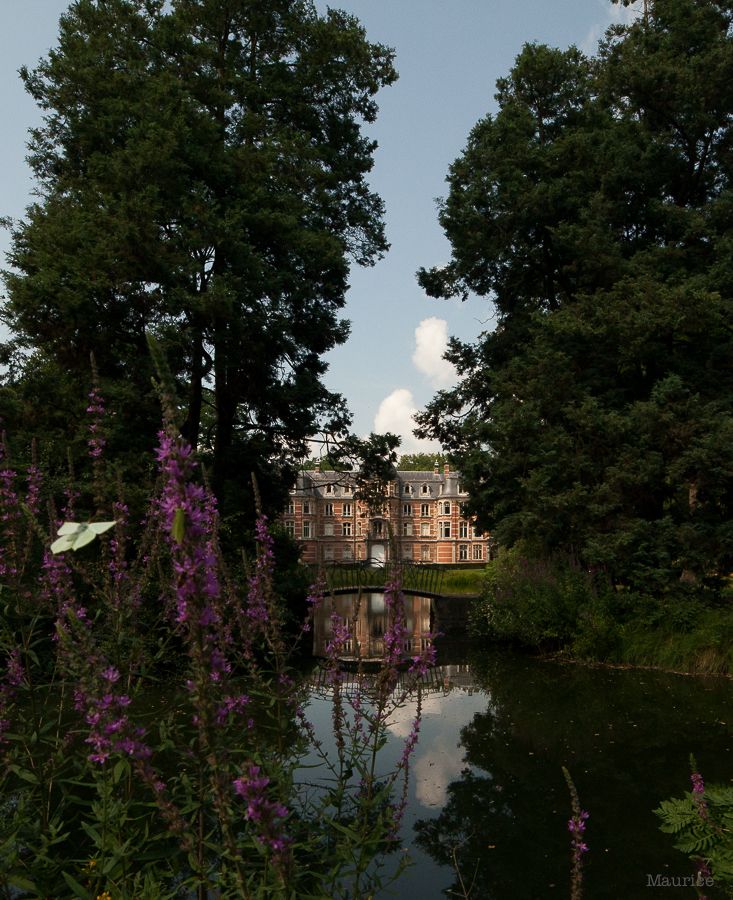 Fotografie