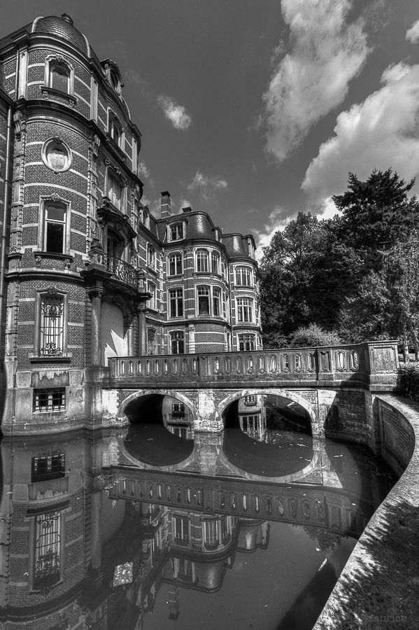 Fotografie