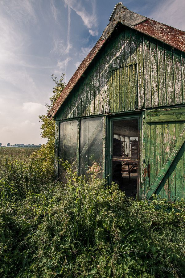 Fotografie