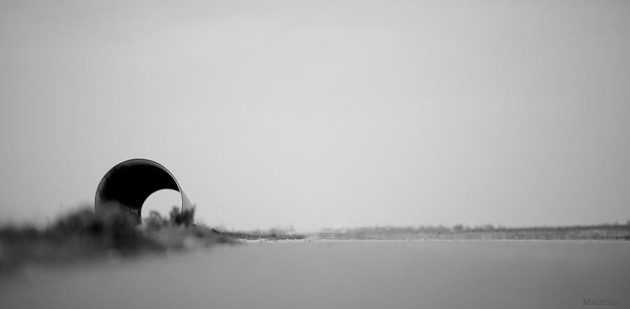 Fotografie