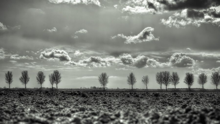 Fotografie