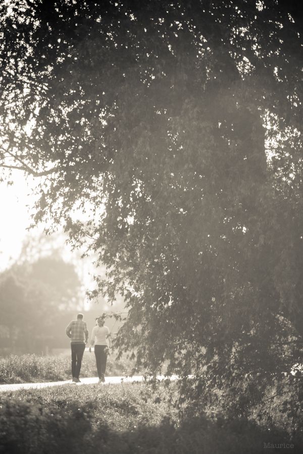 Fotografie