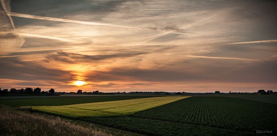 Fotografie