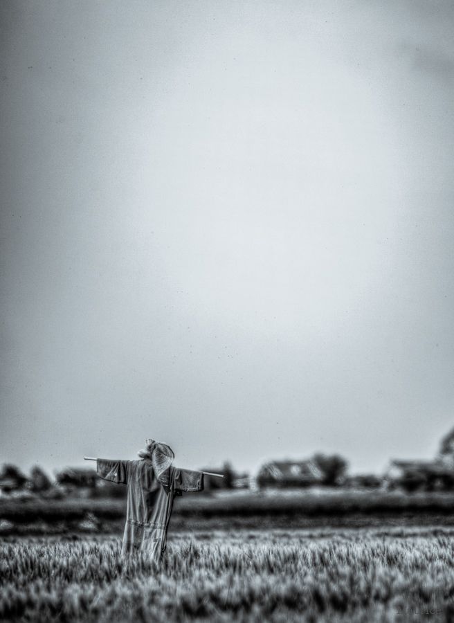 Fotografie